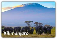 Magnesy - AFRYKA - Kilimandżaro - Kilimanjaro - UNESCO - Park - Magnes na lodówkę - miniaturka - grafika 1