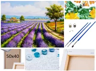 Malowanie po numerach - Malowanie po numerach Obraz Rama Płótno ZESTAW 5w1 kwiaty POLE LAWENY przyroda krajobraz - miniaturka - grafika 1