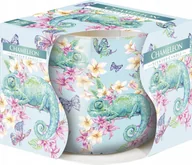 Świece - Bispol świeca w szkle SN71s-51 kameleon 5906927031859 - miniaturka - grafika 1