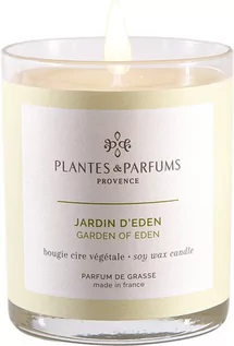Świece - PLANTES&PARFUMS PROVENCE Świeca zapachowa perfumowana 180g - Garden of Eden - Ogrody Edenu - grafika 1