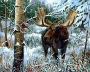 Malowanie po numerach - Malowanie po numerach Łoś w zimowym lesie 40x50cm 1005693 - miniaturka - grafika 1