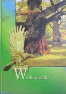 Wielkopolska zawsze w Europie - Przewodniki - miniaturka - grafika 1