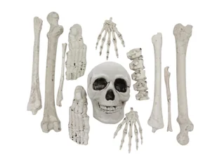 Worek kości - 12 elem. - Halloween - miniaturka - grafika 1