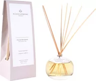 Zapachy do domu - PLANTES&PARFUMS PROVENCE Dyfuzor zapachowy - Provence Pine - Prowansalska Sosna - 100ml 070422 - miniaturka - grafika 1