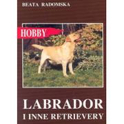 Poradniki hobbystyczne - Egros Labrador i inne retrievery Beata Radomska - miniaturka - grafika 1