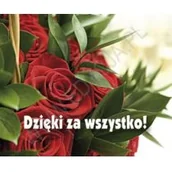 Aforyzmy i sentencje - Edycja Świętego Pawła praca zbiorowa Perełka 191. Dzięki za wszystko! - miniaturka - grafika 1