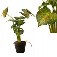 Sztuczne kwiaty - SZTUCZNY KWIAT roślina w doniczce Alokazja jak żywa dekoracja do salonu - miniaturka - grafika 1