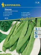 Nasiona i cebule - Fasola szparagowa NASSAU karłowa płaska nasiona Kiepenkerl - miniaturka - grafika 1