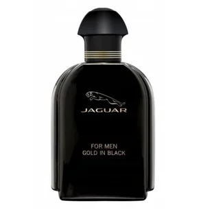 Jaguar Gold In Black woda toaletowa spray - 100 ml - Wody i perfumy męskie - miniaturka - grafika 1