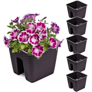 5x Skrzynka Doniczka 27,2 cm x 27,2 cm Rattan Umbra Brąz 8,5 L poręcz balustrada - Donice 5x Skrzynka Doniczka 27,2 cm x 27,2 cm Rattan Umbra Brąz 8,5 L poręcz balustrada - Donice - miniaturka - grafika 1