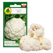 Nasiona i cebule - KALAFIOR BETA WCZESNY DIETETYCZNY  NASIONA BEZ GMO - miniaturka - grafika 1