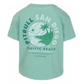 Odzież taktyczna i umundurowanie - PITBULL KOSZULKA damska Middle Weight 170 Basic Planet Surf Oversize '25 - Jasnomiętowa  (34) - miniaturka - grafika 1