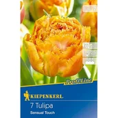 Nasiona i cebule - Cebule tulipanów Profi-Line Gefranste Tulpe Sensual Touch - miniaturka - grafika 1