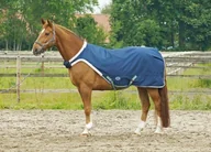 Derki dla konia - BUSSE Derka do karuzeli WALKER 100g - navy - miniaturka - grafika 1