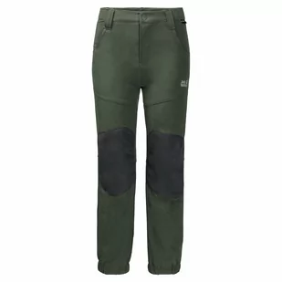 Dziecięce spodnie softshellowe RASCAL WINTER PANTS KIDS thyme green - Spodnie i spodenki dla dziewczynek - miniaturka - grafika 1