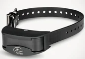 Artykuły szkoleniowe - Elektroniczna obroża antyszczekowa SportDog NoBark SBC-8 - miniaturka - grafika 1