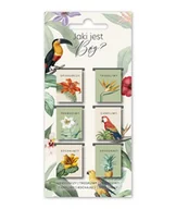 Zakładki do książek - Szara Zakładki Magnetyczne - Jaki jest Bóg - Ptaki - gadżet - miniaturka - grafika 1