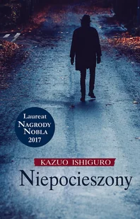 Niepocieszony - Proza obcojęzyczna - miniaturka - grafika 2