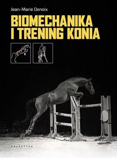Galaktyka Książka biomechanika i trening konia - Jean - Marie Denoix