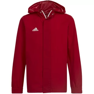 Adidas, Kurtka ENTRADA 22 AW Jacket Y HG6300, 116 cm, czerwony - Kurtki i kamizelki sportowe męskie - miniaturka - grafika 1