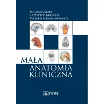 Mała Anatomia Kliniczna Bogdan Ciszek,krzysztof Krasucki,ryszard Aleksandrowicz - Książki medyczne - miniaturka - grafika 1
