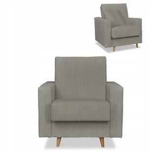 Fotel z pojemnikiem Rene szary jasny Family Meble - Fotele - miniaturka - grafika 1