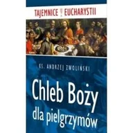 Religia i religioznawstwo - Chleb Boży dla pielgrzymów - miniaturka - grafika 1