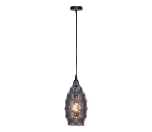 Paul Neuhaus 8267-25 - Żyrandol na lince SCARLETT 1xE27/60W/230V śr. 19 cm czarny - Lampy sufitowe - miniaturka - grafika 1