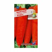 Nasiona i cebule - Marchew Koral późna nasiona 5g / O / - miniaturka - grafika 1