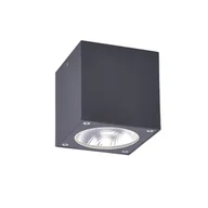 Lampy ogrodowe - Oprawa natynkowa zewnętrzna spot LED 7W GEORG 9674-13 Paul Neuhaus - miniaturka - grafika 1