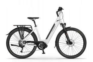POLSKI ROWER ELEKTRYCZNY ECOBIKE LX 300 rama 19" 48V bateria 14 Ah - Rowery elektryczne - miniaturka - grafika 1