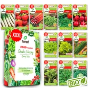 Nasiona i cebule - Nasiona warzyw TRUSKAWKA RABARBAR SZPINKA RUKOLA SAŁATA SELER 12 SZTUK - miniaturka - grafika 1