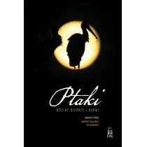 Ptaki doliny Biebrzy i Narwi - Nauki przyrodnicze - miniaturka - grafika 1