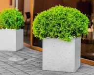 Donice - 92x92x92 cm CT - Donica betonowa (antracytowa) - miniaturka - grafika 1