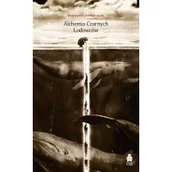 Powieści historyczne i biograficzne - alchemia czarnych lodowców - miniaturka - grafika 1