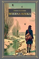 Czasopisma - Biblioteka Polska - miniaturka - grafika 1