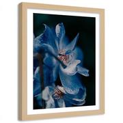Plakaty - Plakat ozdobny w ramie naturalnej FEEBY Błękitny kwiat, 60x90 cm - miniaturka - grafika 1