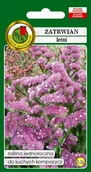 Nasiona i cebule - Zatrwian Letni Różowy 0.2 g PNOS - miniaturka - grafika 1