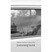Eseje - Austeria Zapamiętane - Elżbieta Zechenter-Spławińska - miniaturka - grafika 1