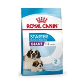 Sucha karma dla psów - Royal Canin Giant Starter Mother&Babydog 15 kg - miniaturka - grafika 1