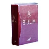 Religia i religioznawstwo - Biblia Tabor bordowa PCV Praca zbiorowa - miniaturka - grafika 1