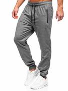 Spodnie sportowe męskie - Antracytowe spodnie męskie joggery dresowe Denley JX6105 - miniaturka - grafika 1