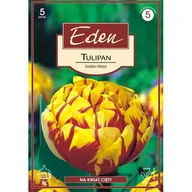 Nasiona i cebule - Tulipan pełny Golden Nizza 5 sztuk Eden - miniaturka - grafika 1