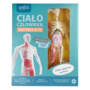 Geniuz, Ciało Czlowieka - zestaw naukowy - Mały naukowiec - miniaturka - grafika 1