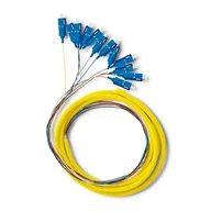 Kable miedziane - QOLTEC Pigtail światłowodowy 12x SC/UPC SM G657A2 2m 54364 - miniaturka - grafika 1
