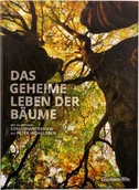 Filmy dokumentalne Blu-ray - Sekretne życie drzew - miniaturka - grafika 1
