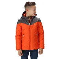 Kurtki i płaszcze dla chłopców - Regatta Unisex Dziecięca 'Lofthouse Iii' Izolowana kurtka Z Baffled/pikowane kurtki Blaze Orange/Magnet 11-12 - miniaturka - grafika 1