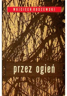 Przez ogień - Poezja - miniaturka - grafika 1