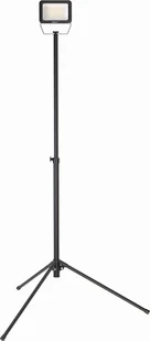 Lampa Warsztatowa 50W Smd Led, 5500Lm, Statyw, Ip65, Dedra L1074-5 - Oświetlenie warsztatowe - miniaturka - grafika 1