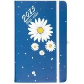 Kalendarze - Kalendarz 2024/2026 A5 18M tyg. Hip Hop stokrotka - miniaturka - grafika 1